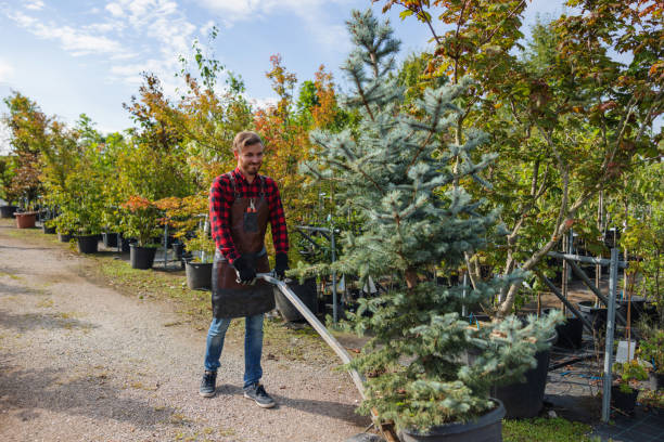 Best Hazardous Tree Removal  in Mcguire Af, NJ